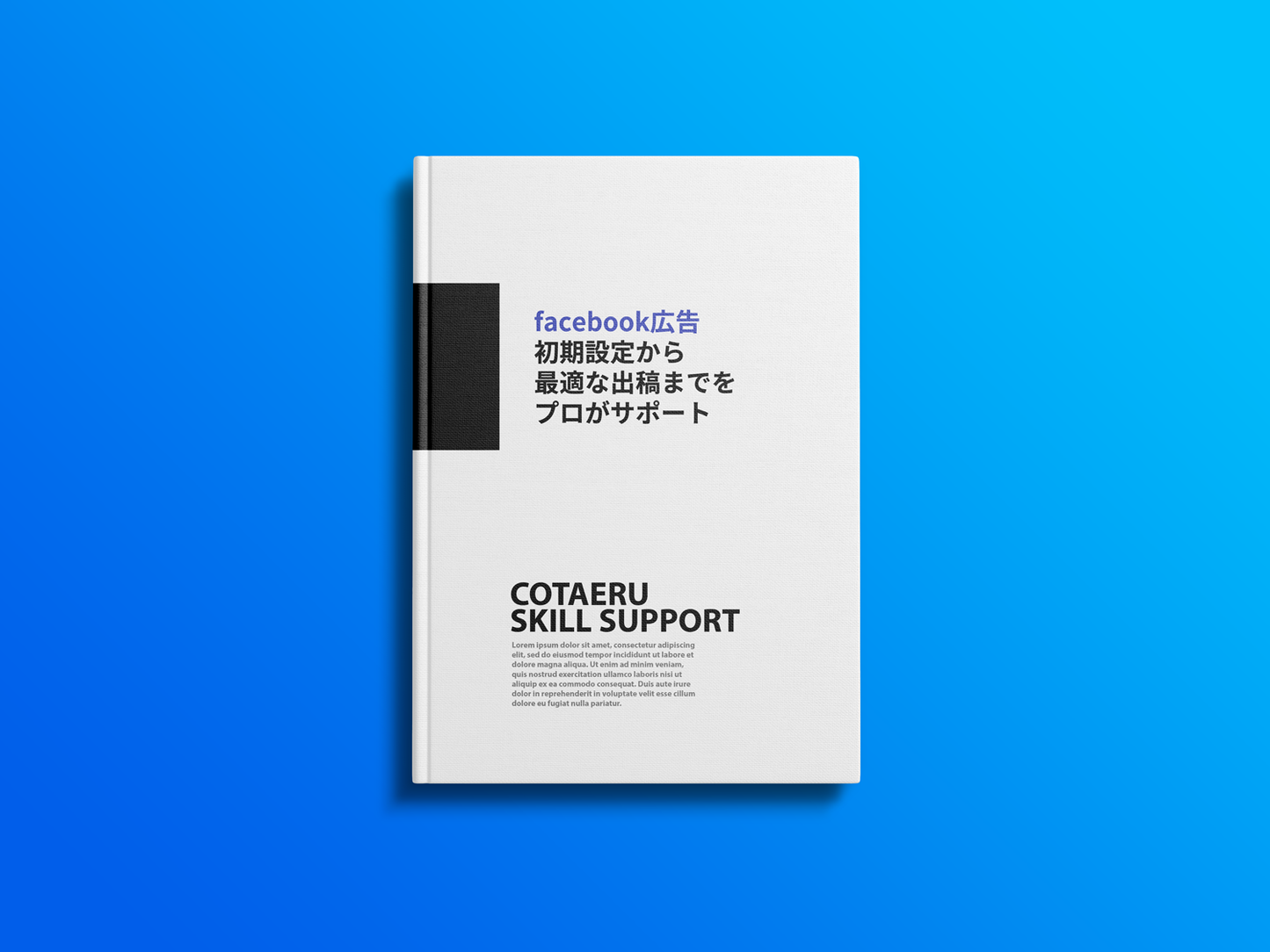 facebook広告の初期設定から最適な出稿までをプロがサポート